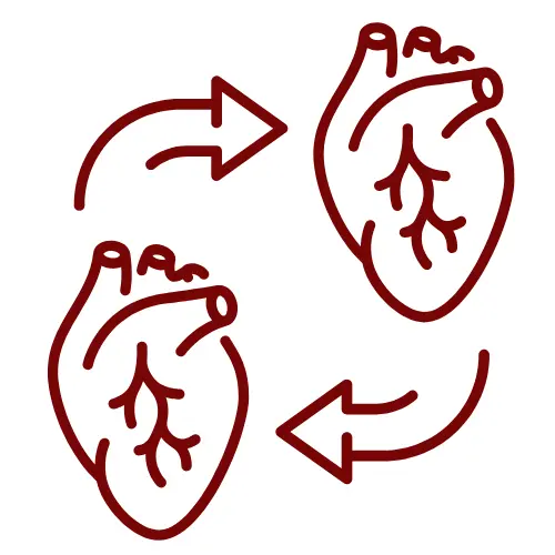 Heart Transplantation